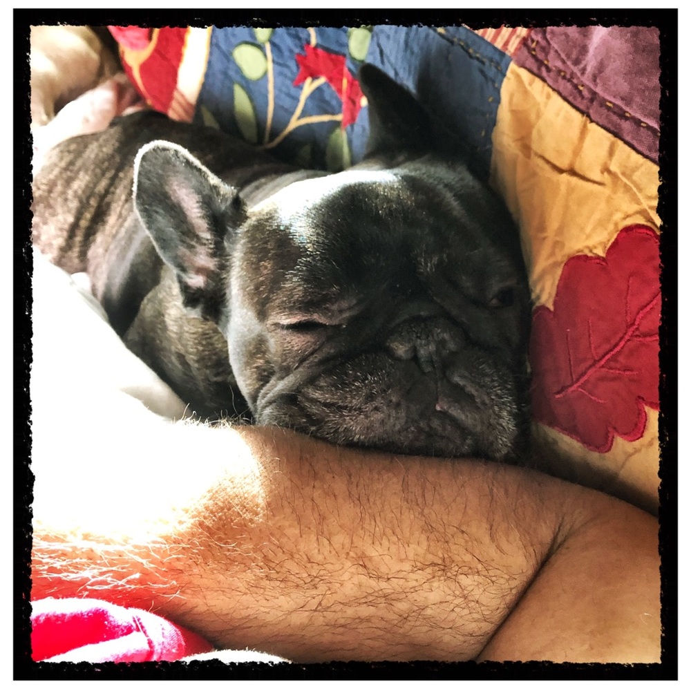 Meet your Posher, Joe